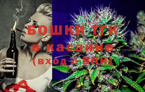 гашик Алексеевка