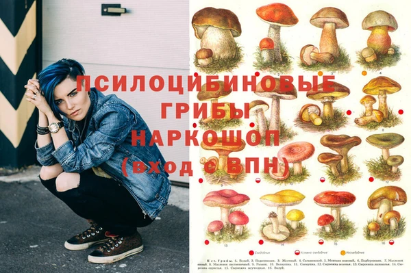 гашик Алексеевка