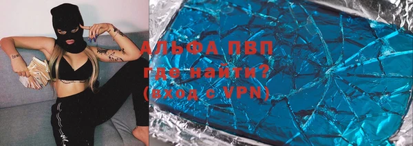 гашик Алексеевка