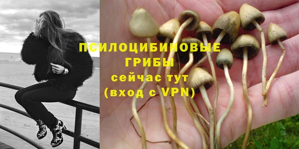 гашик Алексеевка