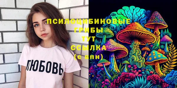 гашик Алексеевка